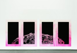 Annette Weisser
